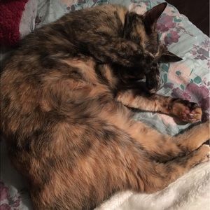 Meet your Posher, Stevie