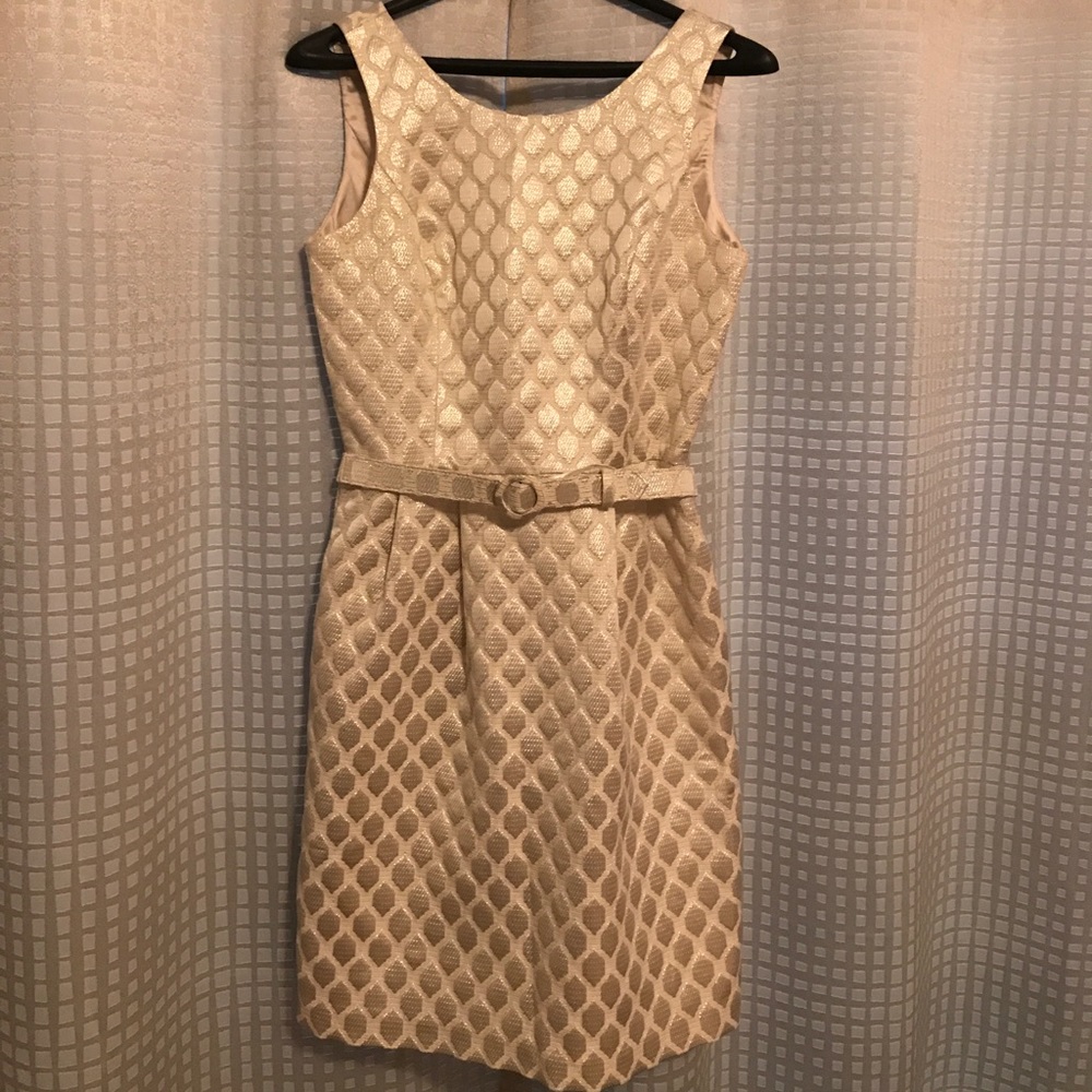 Stunning shimmer dress from WHBM