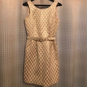 Stunning shimmer dress from WHBM