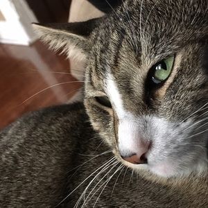 Meet your Posher, Karen