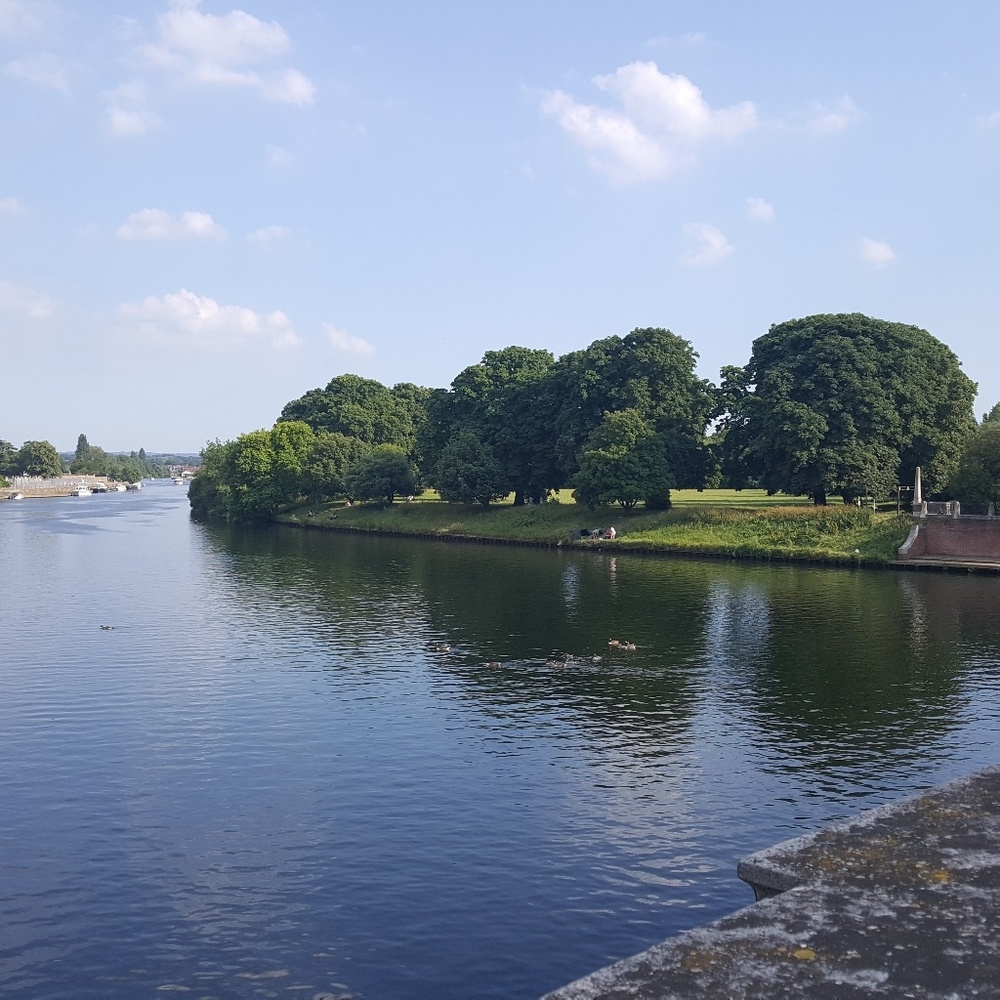 Meet your Posher, Rachel