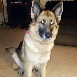 Meet your Posher, Kimmy