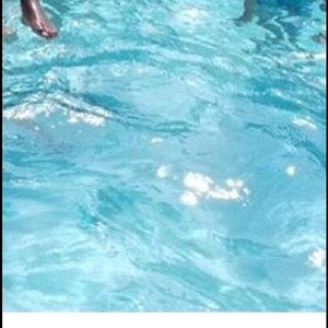 Meet your Posher, Ava