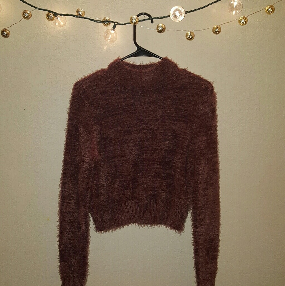 Express: Fuzzy cropped sweater