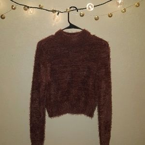 Express: Fuzzy cropped sweater