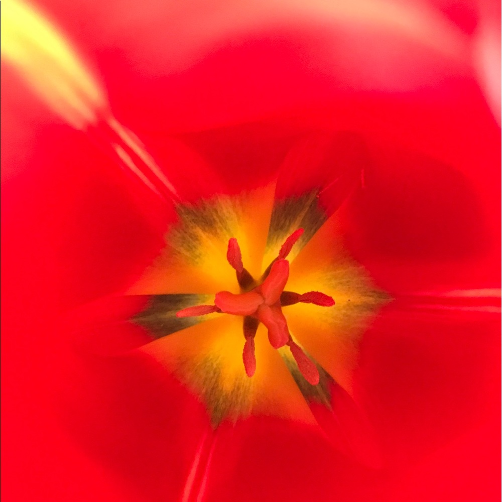 Meet your Posher, Lynn