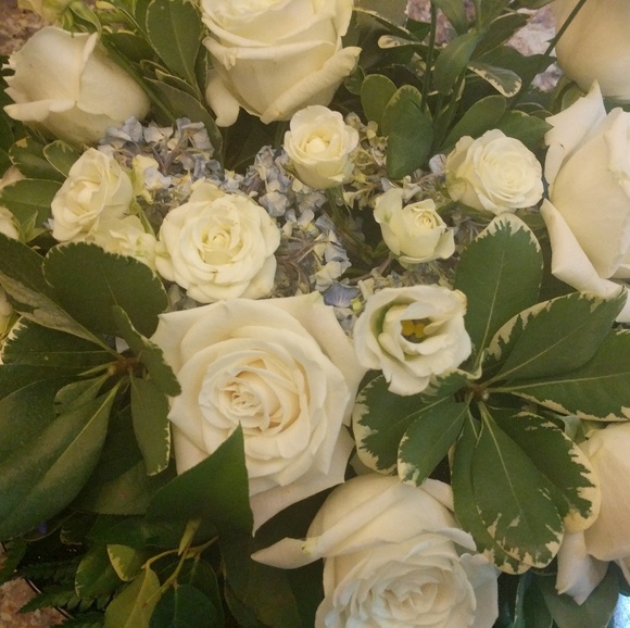 Meet Nicki - Picture 7 of 8