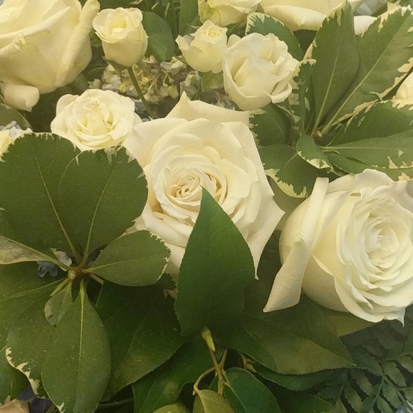 Meet Nicki - Picture 8 of 8