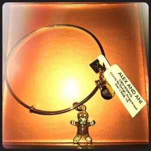 Alex and Ani Bracelet