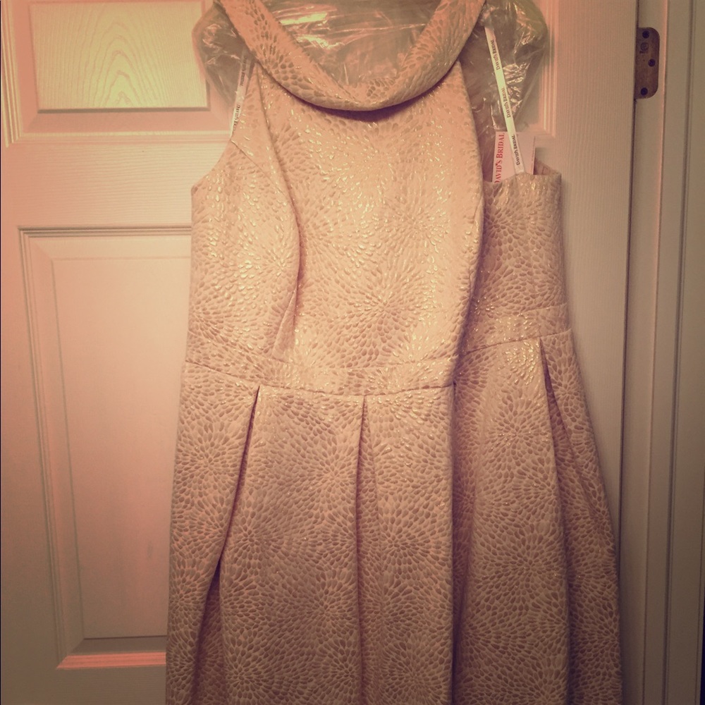 Davids Bridal Special Event Dress sz 24