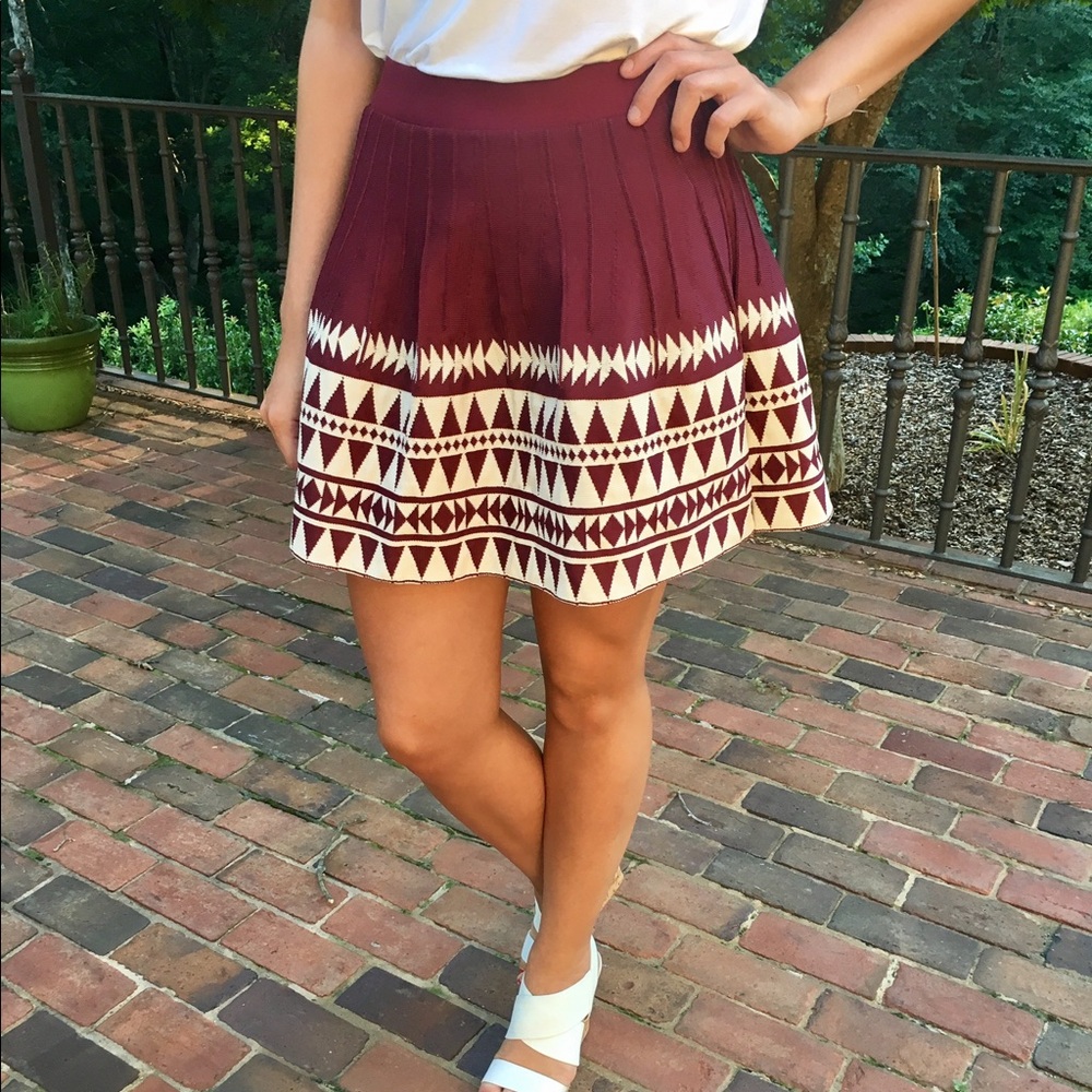 Crimson and Cream Knit Pleated Skirt
