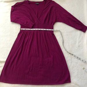 Express brand sweater dress