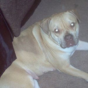 Meet your Posher, Brian