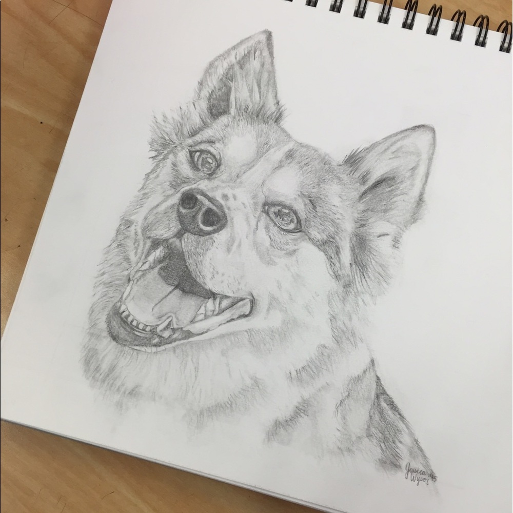Custom Pet Portraits