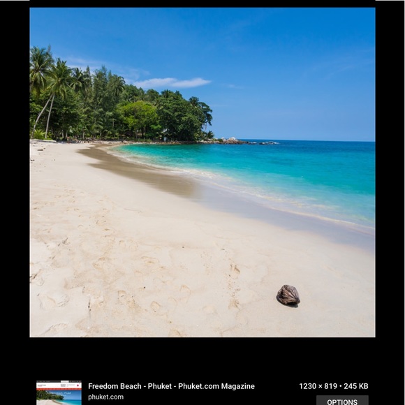 Meet your Posher, Molly - Picture 1 of 1