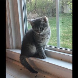 Meet your Posher, Elizabeth