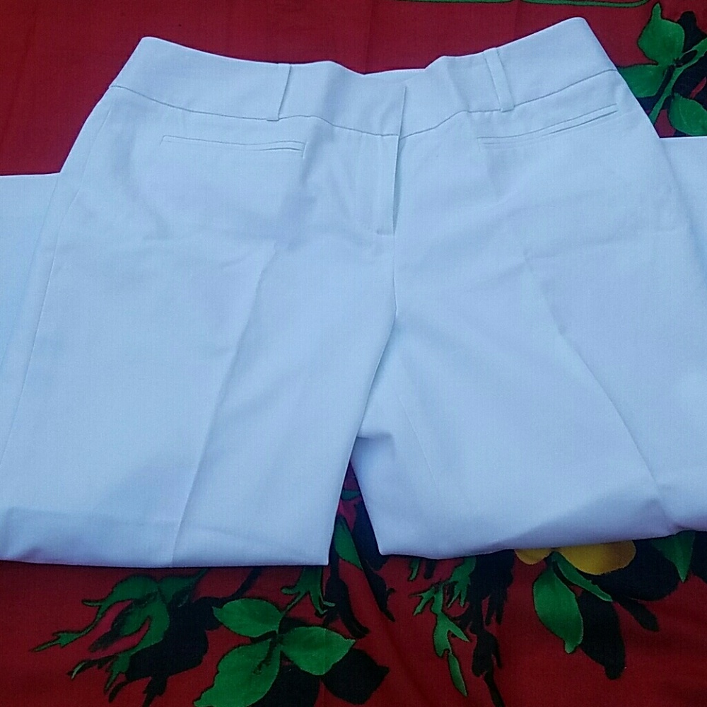 Halogen Capri - Picture 5 of 6