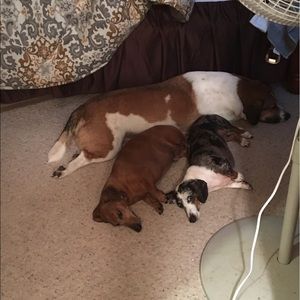 Meet your Posher, Angie