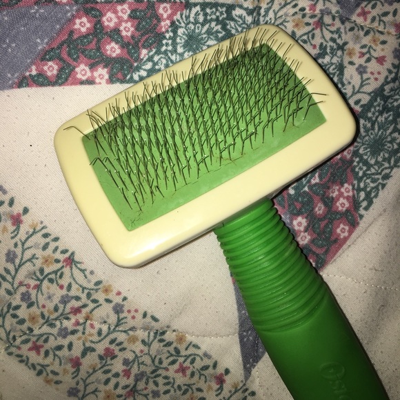 Dog Products - Picture 4 of 4