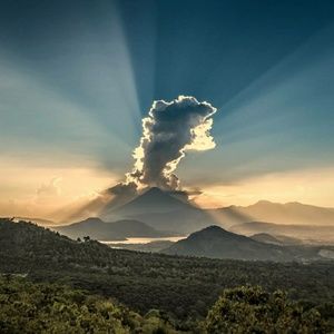 Meet your Posher, Ronald