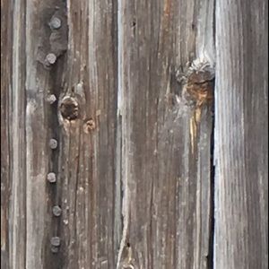 Meet your Posher, Mauri