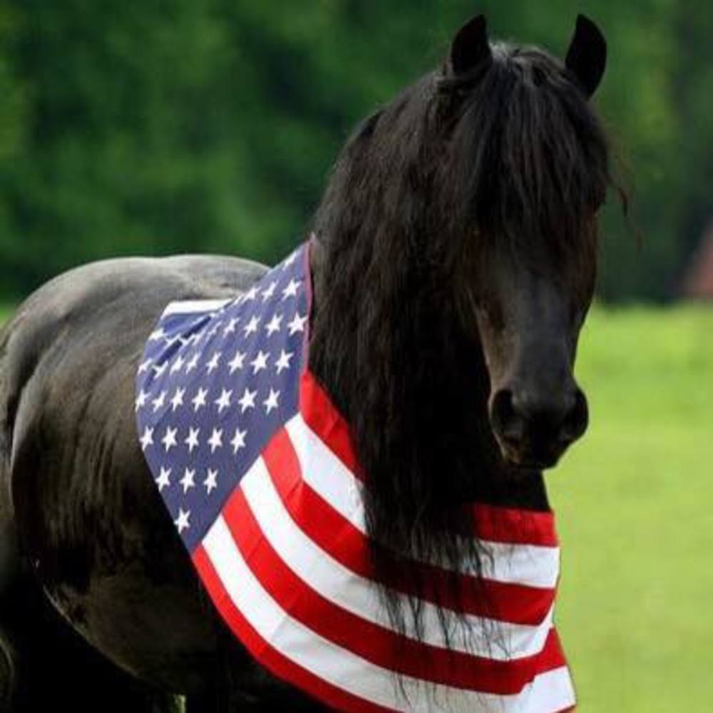 Meet your Posher, Aubrae