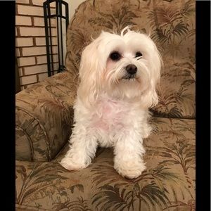 Meet your Posher, Celeste