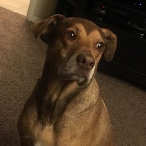 Meet your Posher, Caryn