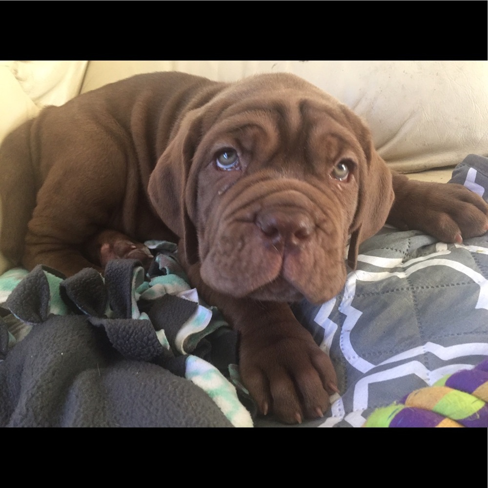 Meet your Posher, Ciale