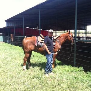 Meet your Posher, Brian