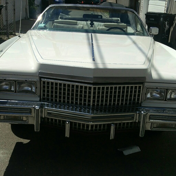 Meet your Posher, Sidney - Picture 1 of 1