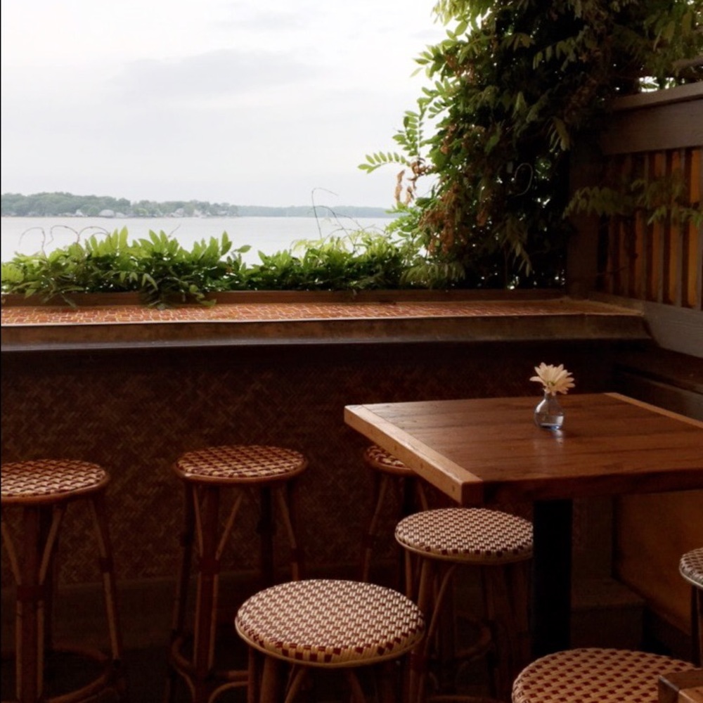 Meet your Posher, Molly