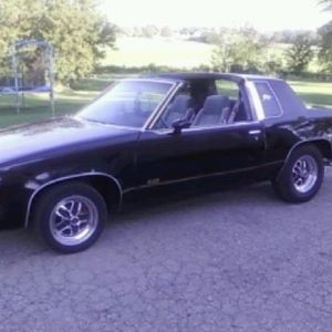 Meet your Posher, Brad