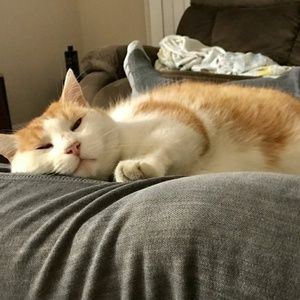 Meet your Posher, Jc