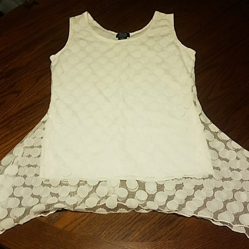 NWOT Shannon Ford Sheer Asymmetrical Top