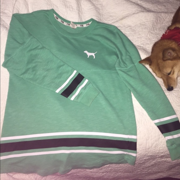 Teal PINK sweatshirt (puppy not included lol!!) - Picture 1 of 3
