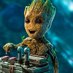 Meet your Posher, Donald