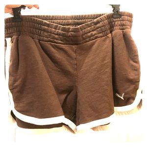 Puma Brown Running Shorts
