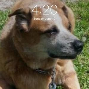 Meet your Posher, Steve