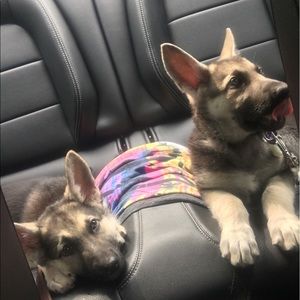 Meet your Posher, Renae