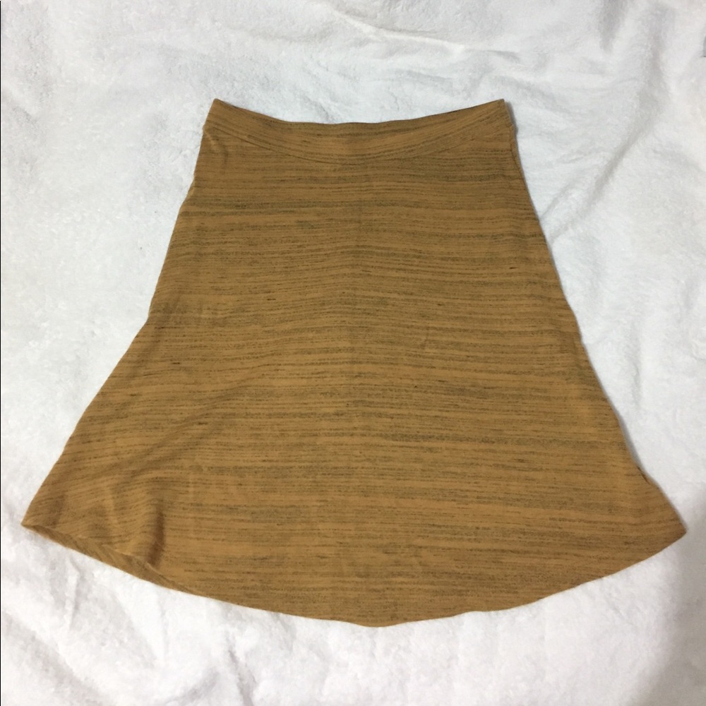 American Apparel Skirt