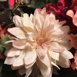 Meet your Posher, Wendy