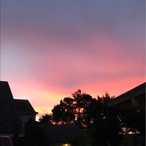 Meet your Posher, Carolina