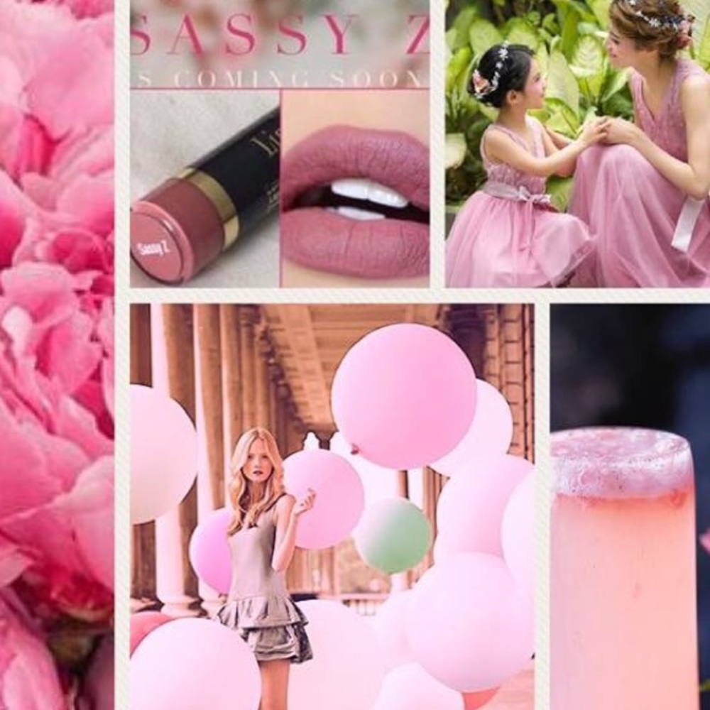 LipSense Sassy Z Limited Edition