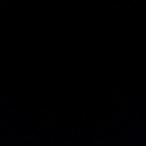 Meet your Posher, Jake