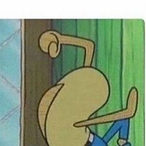 Meet your Posher, Kyra