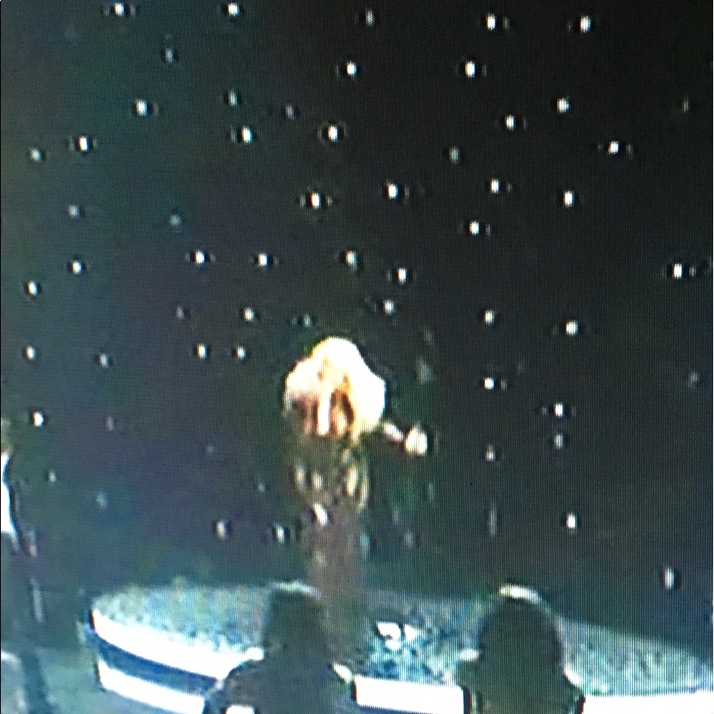 Meet your Posher, Juanita