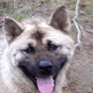 Meet your Posher, Charlene