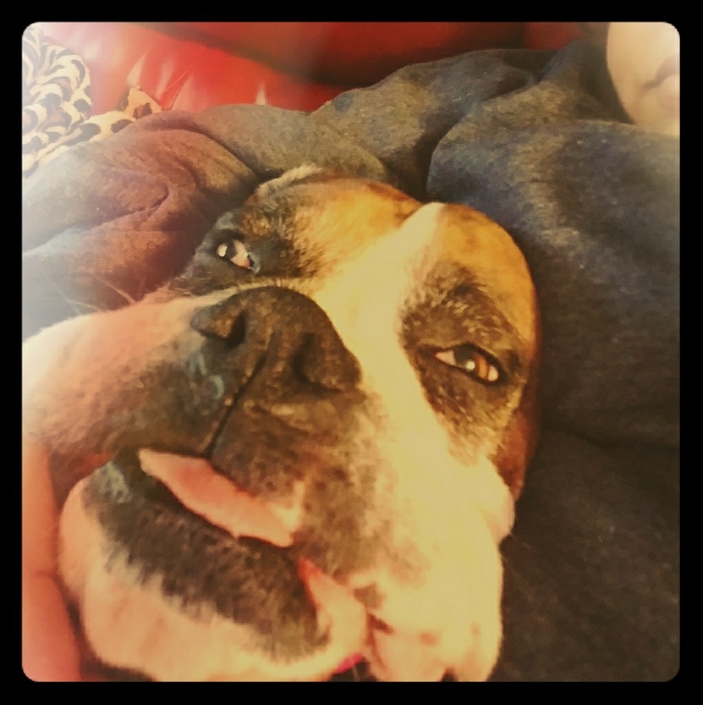 Meet your Posher, Rachel