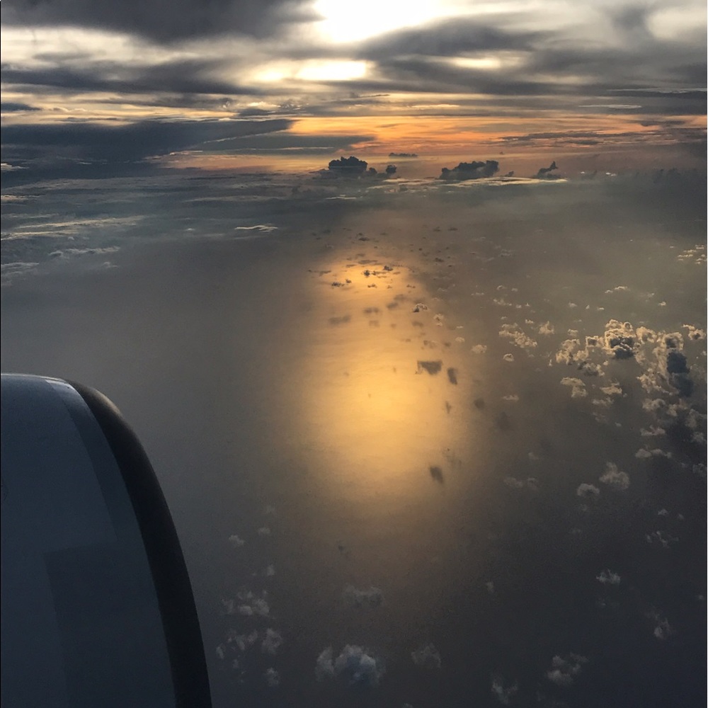 Meet your Posher, Ann